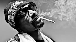 Snoop Dogg - 20 minutes