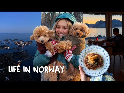 Wie ich die Polarnacht und die dunklen Wintertage überlebe