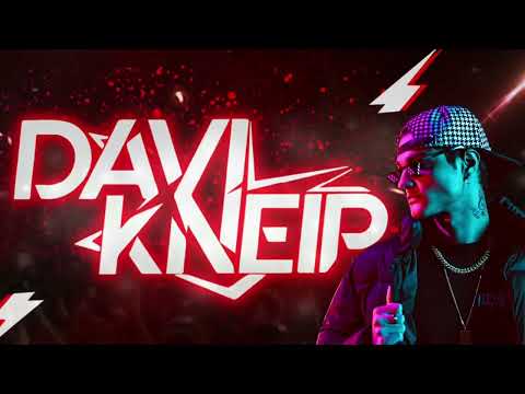 PECUARIA 2.0 ( FUNK REMIX ) - Leo e Raphael & Davi Kneip