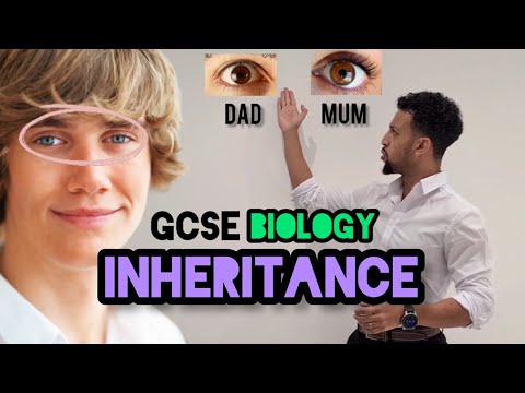 Science Raps: GCSE Biology - Inheritance