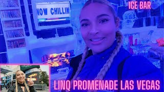 Lets DRINK MORE! ~ Part 2 Exploring LINQ Promenade ~ Ice Bar ~ Fly LINQ Zipline ~ Ja Sushi Burrito