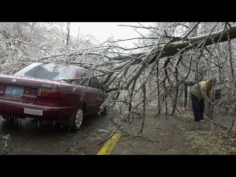 Lexington went frozen, trees fell and the power went out: The ice storm of 2003