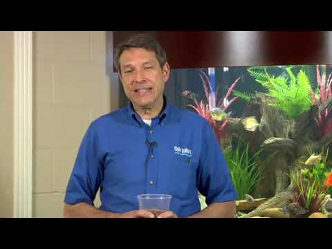 YouTube video about: How do I stop my fish tank from smelling?