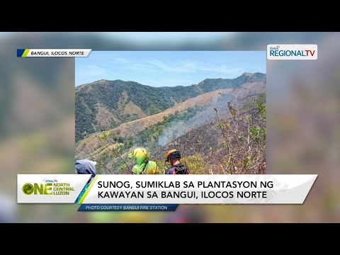 One North Central Luzon: Sunog, sumiklab sa plantasyon ng kawayan sa Bangui, Ilocos Norte