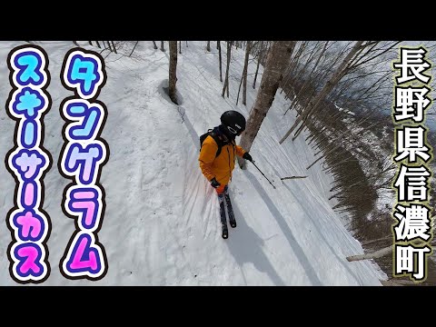 タングラムスキーサーカス：ゲレンデレポート【 Slope Report at TANGRAM ski circus】