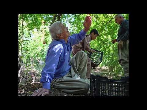 KNIHA V krajině granátovníků