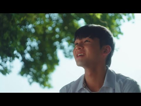 비디오 13
