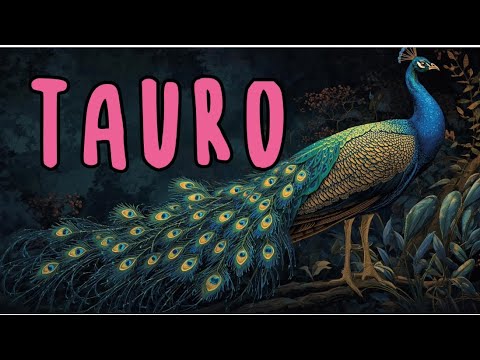 TAURUS - ‼️EVERYTHING IS VERY CLEAR‼️ YOU WILL SEE WHERE A GREAT TEST IS COMING FROM…😱👀A LOT OF M...