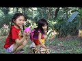 KAYCEE RACHEL LOST KIDS IN THE FOREST DORA ADVENTURE