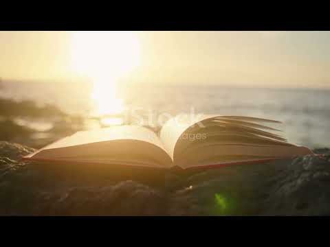 Sophia de Mello Breyner Andresen