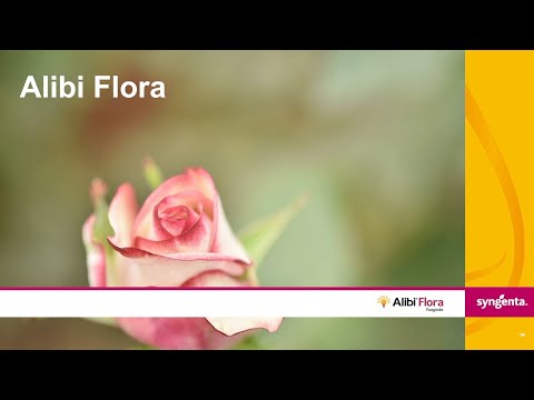 Alibi Flora