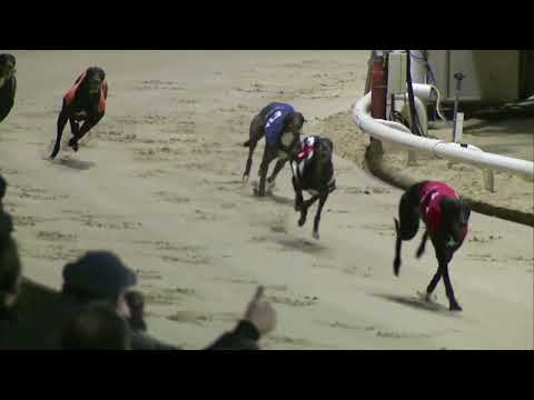 2022 ROMFORD MAIDEN FINAL - T1 ZARI ROSIE