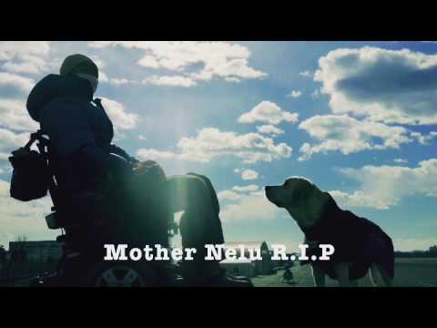 May Nelu Rest in Peace in Heaven!