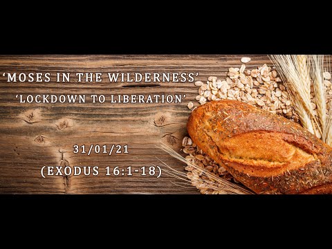 MEC Online Service 31/1/2021 - 'God Provides - Moses in the Wilderness' (Exodus 16:1-18)