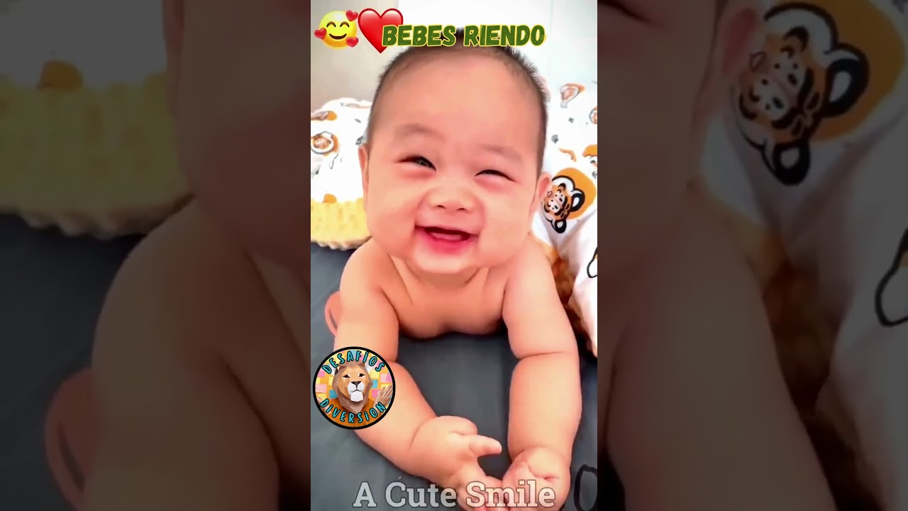 Lindas bebes riendo