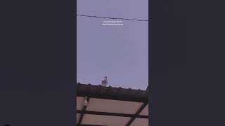 Download lagu mending turu ndak resiko bolo. mp3 Download lagu mending turu ndak resiko bolo. mp3