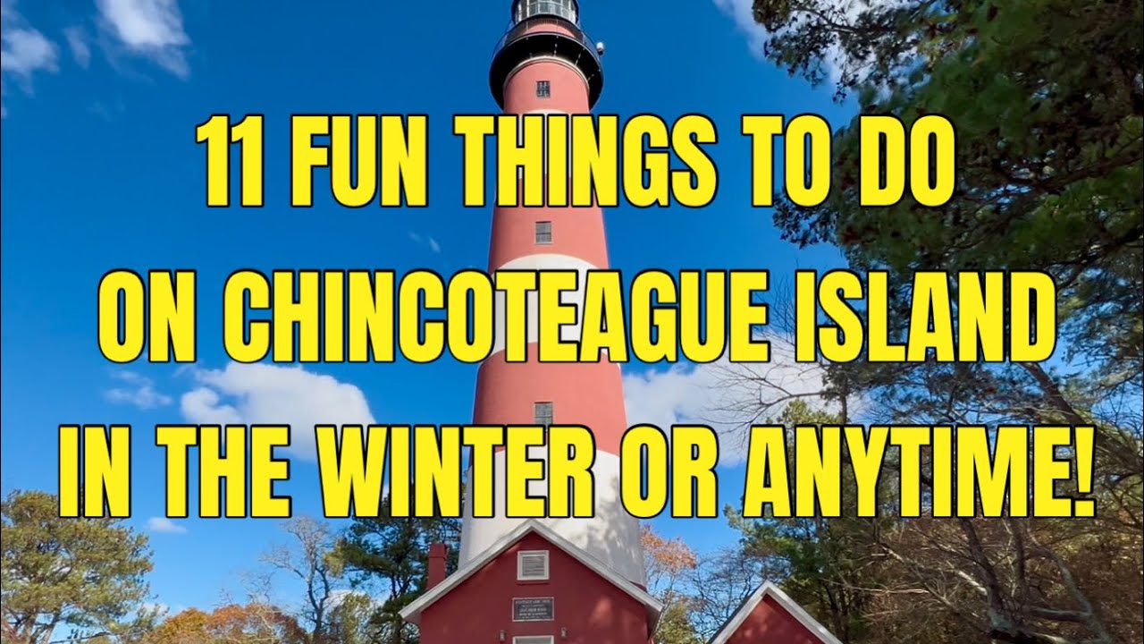 11 Fun Things to Do on Chincoteague Island, VA in Winter or Anytime! 