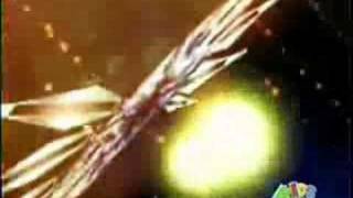 Shadow the Hedgehog Shelter