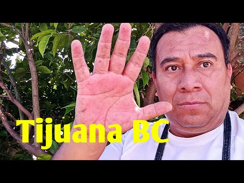 #3664 * E-1061 + Tertulia de TODO un poco OVNIS / Naturaleza 👽 #livestream #news #video