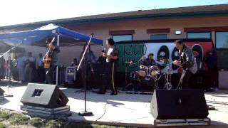 LOS FELINOS EN GREENFIELD CA(FROR MORENA)LA MULA BRONCA)