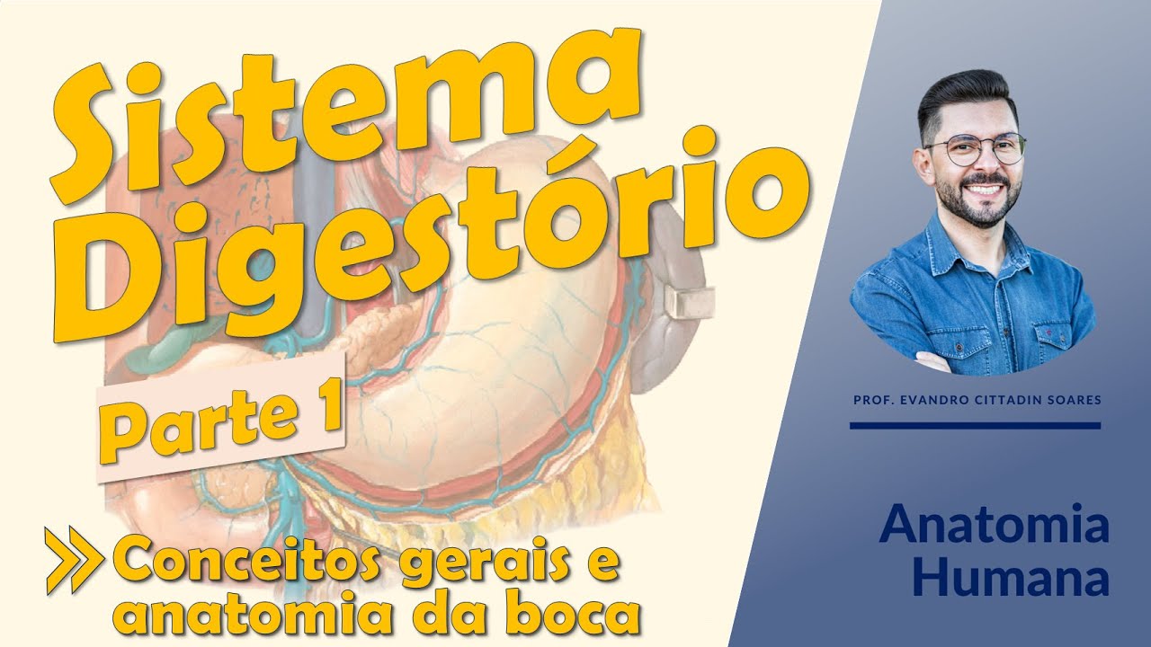 Sistema Digestório - Aula 01 - Conceitos gerais, anatomia da boca, dos dentes e das fauces