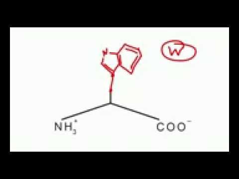 Memorize the 20 amino acids in 20 minutes   Part 1   YouTube