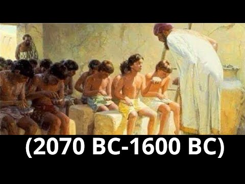 The Evolution of Education and Training | Vibepedia