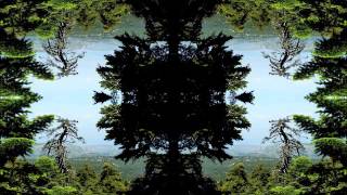 Three-State Logic - Violent Violet