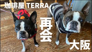 【再会💖】久しぶりにあの子に会いに行ってみた❣️どっちもちゃんと覚えてる⁉️@oreo_channel