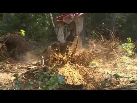 CBI Stump Shear