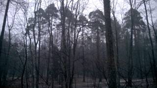 preview picture of video 'Vētra Latvijā | Baldone, 15.03.2014'