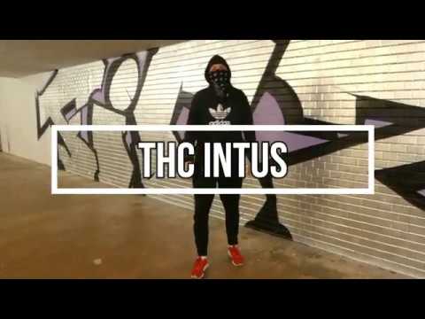 Brownie 33 ~ THC INTUS [Official Video] 4K