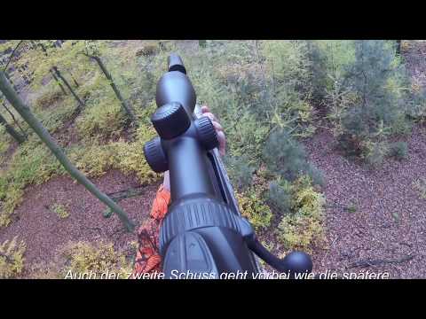 Drückjagd November 2018