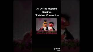 The Rainbow Connection: All Muppets Version