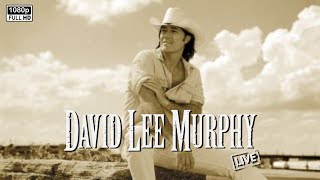 David Lee Murphy - Party Crowd (Unofficial Hybrid)