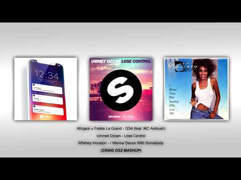 Afrojack x Fedde Le Grand - 1234 vs Whitney Houston - I Wanna Dance With Somebody (Craig Dsz Mashup)