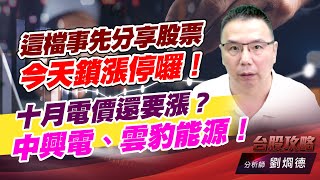 這檔事先分享股票，今天鎖漲停囉！十月電價還要漲？中興電、雲豹能源！｜台股攻略｜劉烱德 (圖)