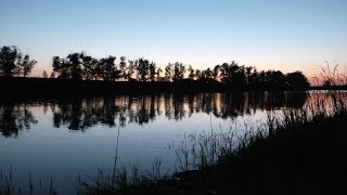 Ролики рыбалка в балаково на карася