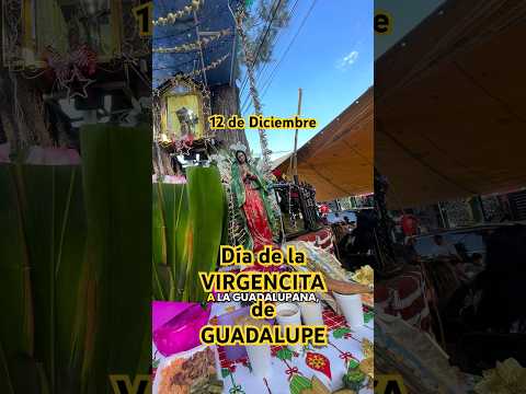 VIRGENCITA DE GUADALUPE 12 de Diciembre ft Barrio de la Guadalupita San Gregorio Atlapulco