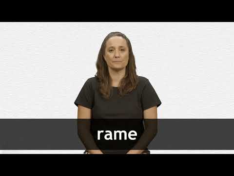 bent Ja Højde English Translation of “la rame” | Collins French-English Dictionary