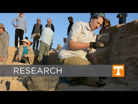 Dig Jordan: UT student researchers at active archaeological project