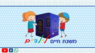 הצופן 5 מסכת סוכה פרק ב' משנה ח'