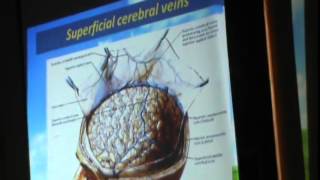 45) Dr.Sherif Zaky 22-14-2014 [ Meninges-C.S.F-Fornix-Arterial blood supply of the brain ]