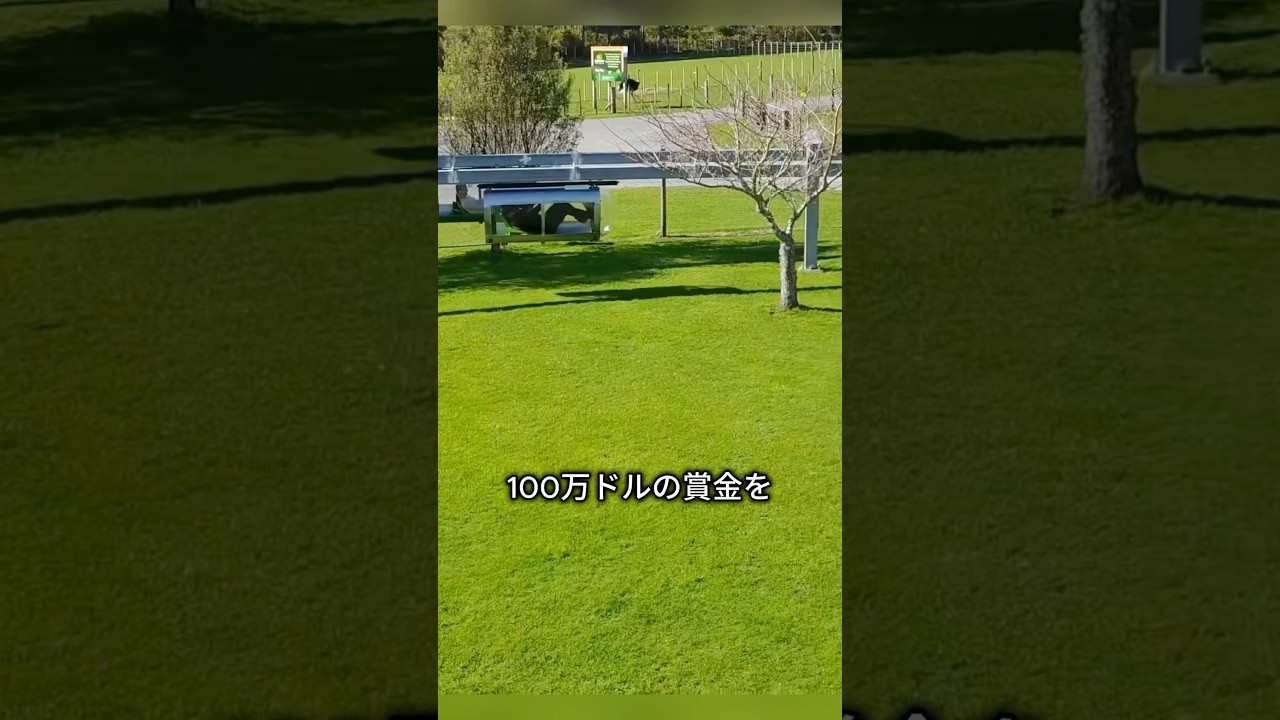 未来を変えかけた交通