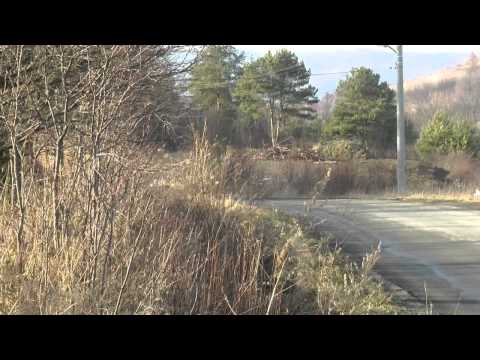 Wyścig Bukowa 2014 - Tomasz Pawełek / Kamil Momola - Fiat CC