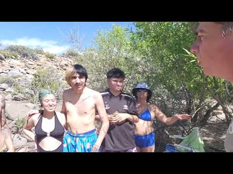 Happy New Year's 2025!