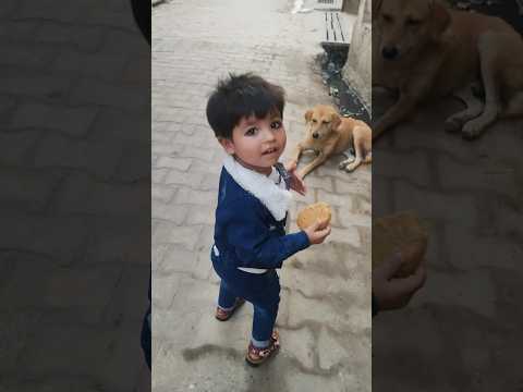 Dua ko dog se Dr nhi lagta #duakivideo #babygirl #dua