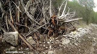 First Video made from Crossbar with Wolfbox System!!