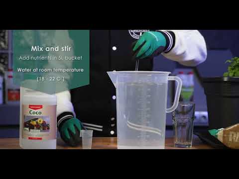 Anwendung: CANNA Coco A&B EN