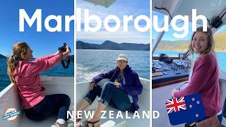 New Zealand 🇳🇿Mailboat Run (Beachcomber Cruise) | Mail Delivery Like You’ve Never Seen